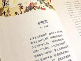 长恨歌读后感500字3篇