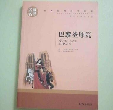 巴黎圣母院读后感800字