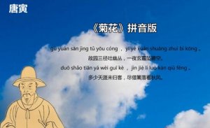 唐寅菊花古诗带拼音版