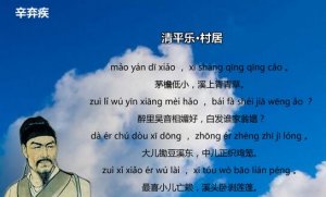 辛弃疾清平乐村居注音版 意思及赏析