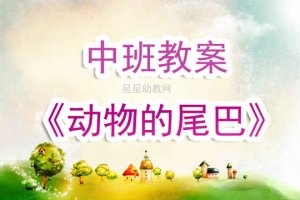 幼儿园中班教案《动物的尾巴》含反思