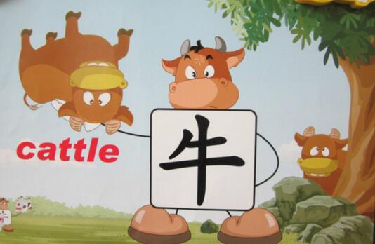 “牛”的英文单词是：cattle