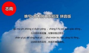 绝句志南古诗带拼音版 意思及赏析