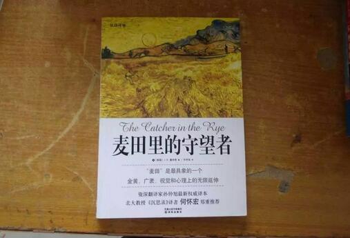 麦田里的守望者读后感600字