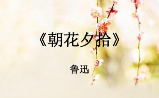 朝花夕拾读后感500字