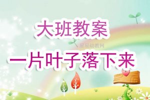 幼儿园大班教案《一片叶子落下来》