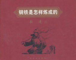 《钢铁是怎样炼成的》读后感800字