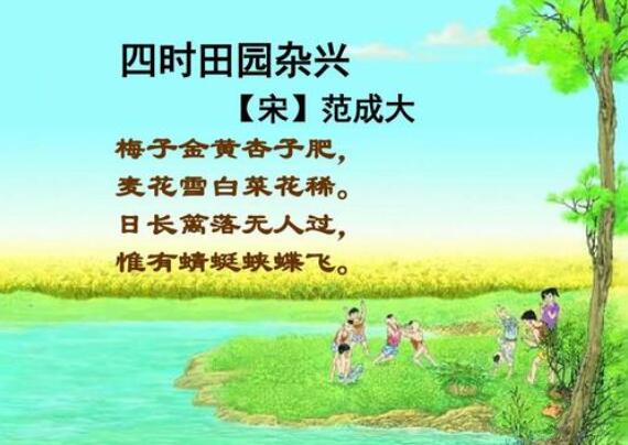 梅子金黄杏子肥全诗带拼音版