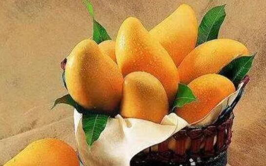 孕妇禁吃十大水果 芒果
