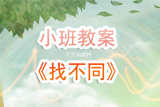 幼儿园小班教案《找不同》