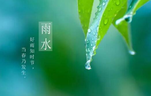 好雨知时节当春乃发生全诗赏析