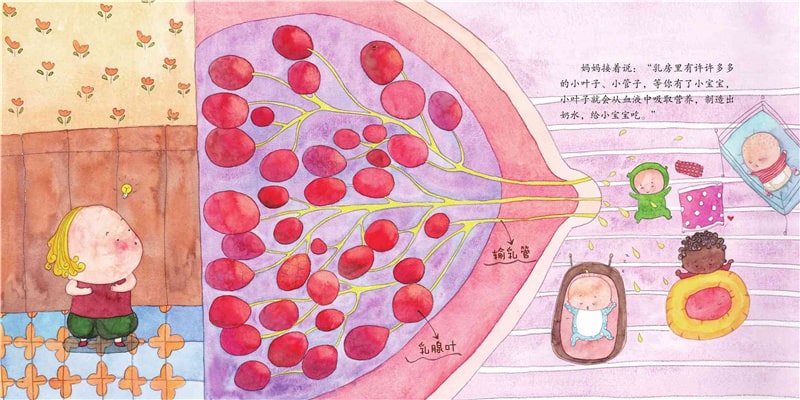 《妈妈的乳房》儿童绘本故事推荐