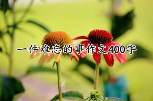 一件难忘的事作文400字（8篇）