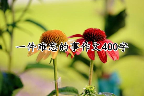 一件难忘的事作文400字