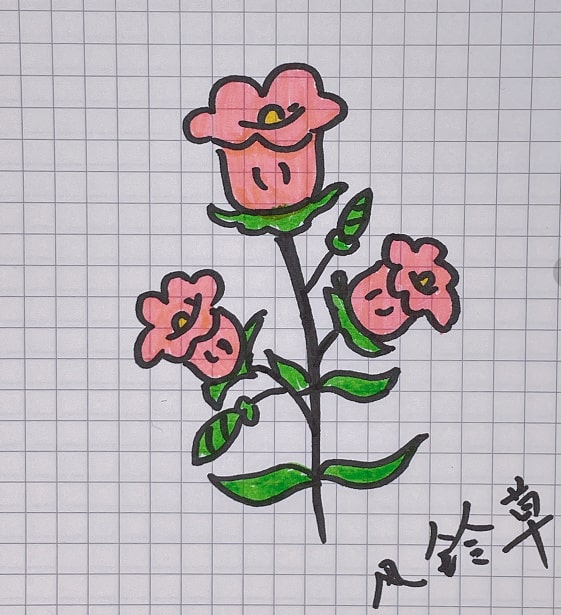 风中摇曳的风铃草简笔画