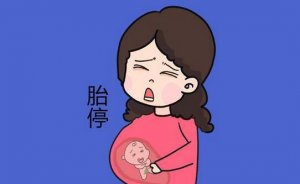 怀孕两个月胎停的症状