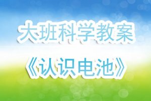 幼儿园大班科学教案《认识电池》