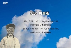 袁枚苔古诗带拼音版