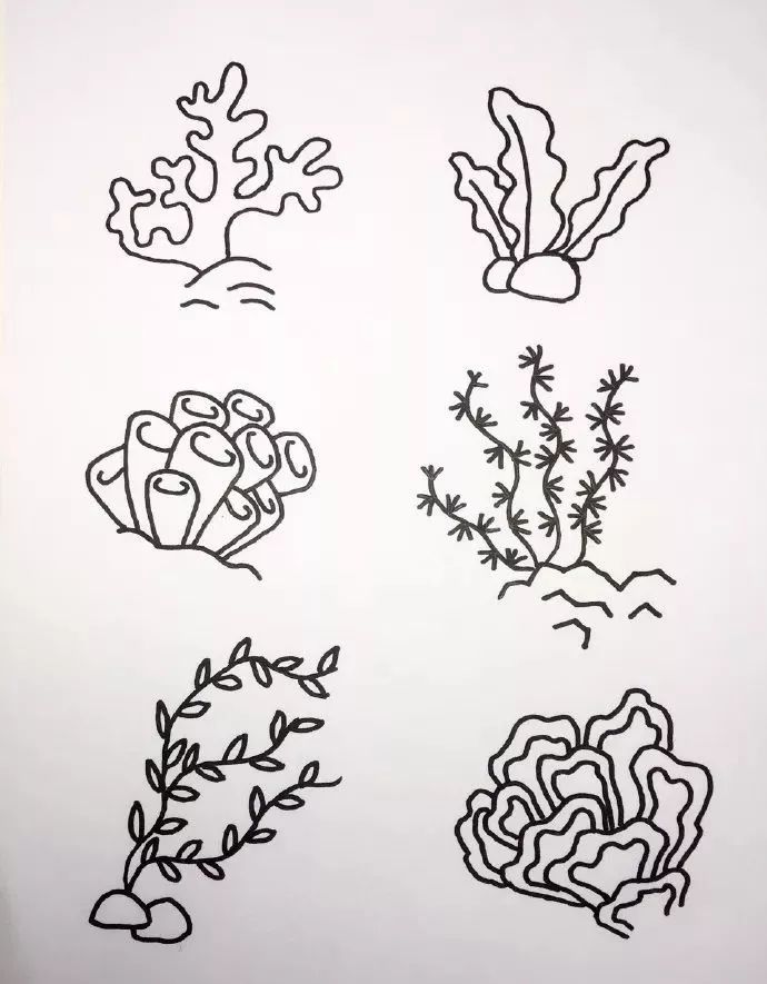 海底世界海洋生物简笔画图片