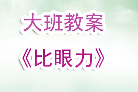 幼儿园大班教案《比眼力》含反思