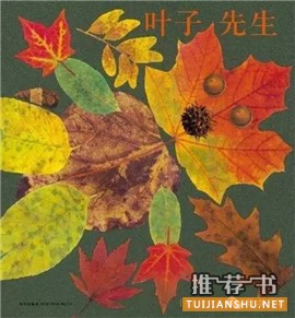 秋天来了，这10本书帮助孩子感知季节的变化