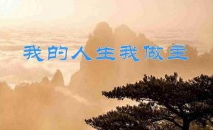 我的人生我做主作文800字