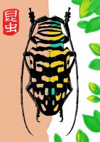 昆虫题材少儿美术课程《彩色天牛》