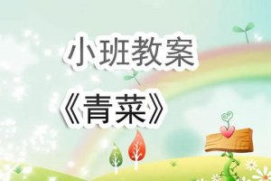 幼儿园小班教案《青菜》含反思