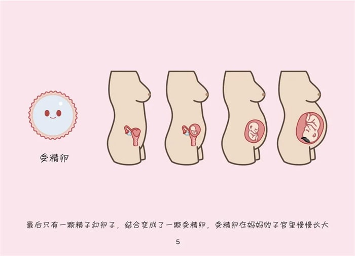 幼儿园正确的儿童性启蒙教育