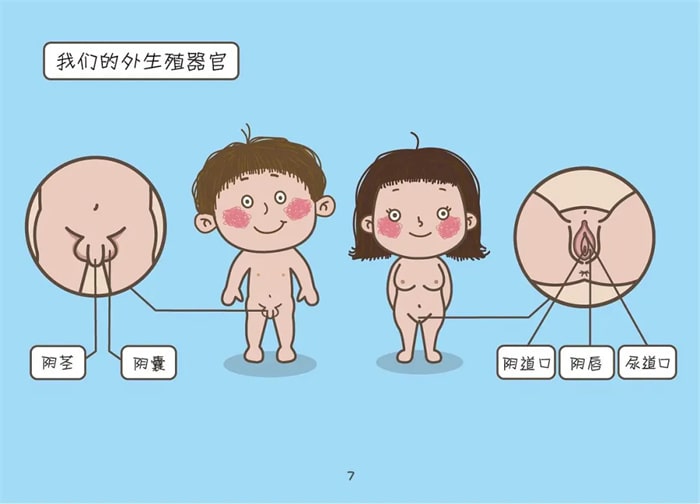 幼儿园正确的儿童性启蒙教育