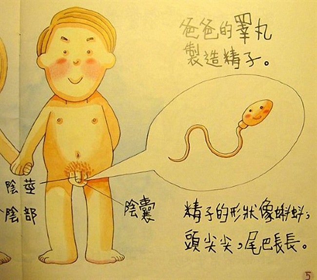 幼儿性教育绘本《我从哪里来》