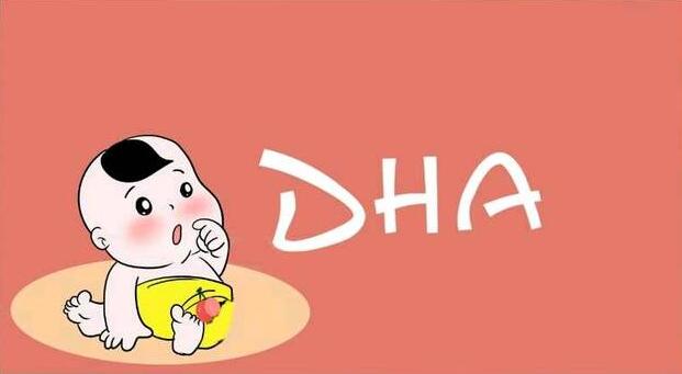 dha是什么 dha什么时候吃最好