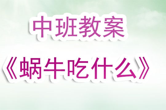 幼儿园中班教案《蜗牛吃什么》含反思