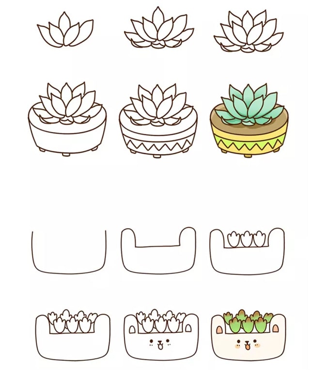 多肉盆栽植物简笔画步骤图片