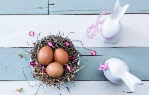 鸡蛋要每天都吃吗？鹌鹑蛋和鸡蛋营养不一样吗