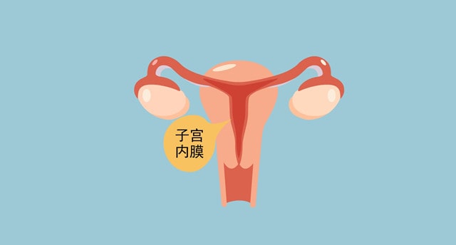 子宫内膜增厚的5个办法
