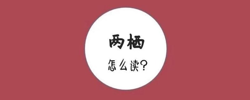 两栖怎么读拼音