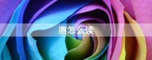 赓怎么读拼音