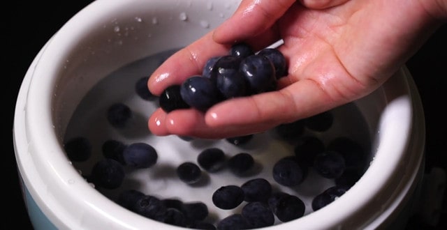蓝莓怎么洗才干净
