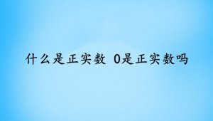 什么是正实数 0是正实数吗