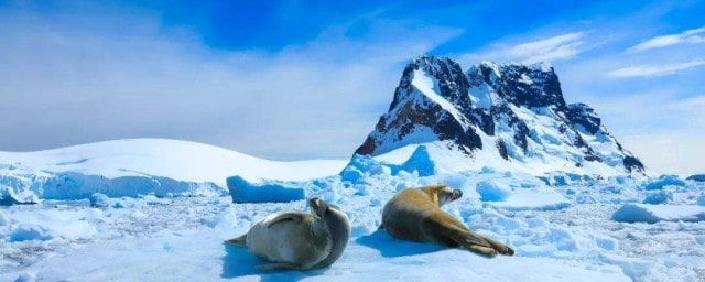 南极最冷的月份是几月