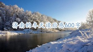 济南的冬天读后感600字（4篇）