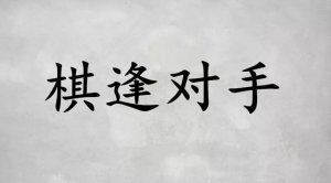 以对手为题的作文300字（12篇）