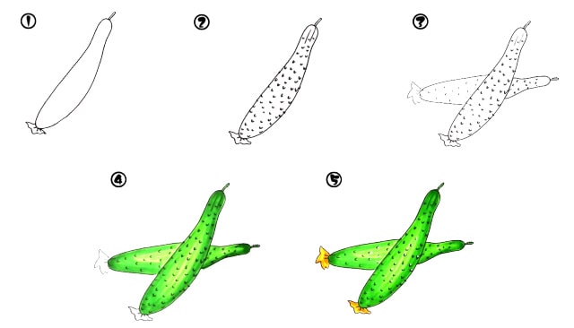 6种常见蔬菜简笔画教程