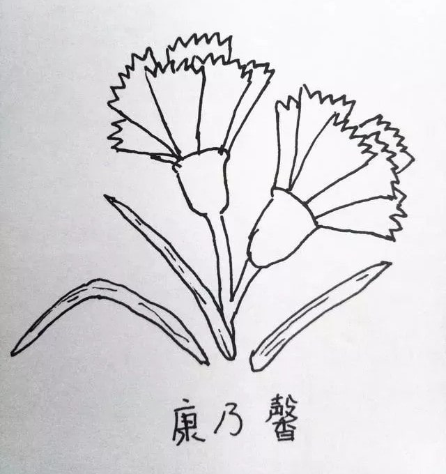 花朵简笔画教程图片简单