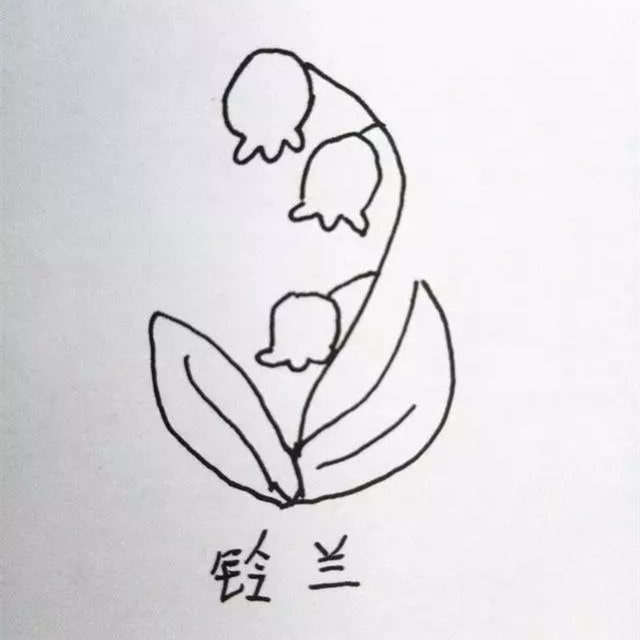 花朵简笔画教程图片简单