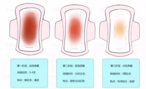 产后恶露一般多久排干净