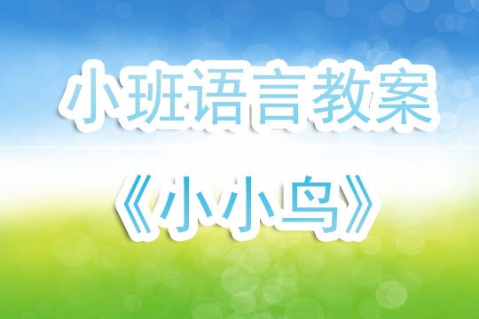 幼儿园小班语言教案《小小鸟》含反思