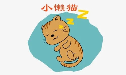 小懒猫的故事