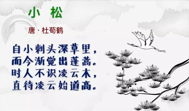 小松杜荀鹤古诗带拼音版